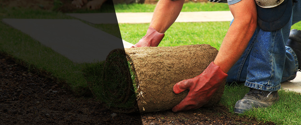 South Rockwood Landscapers